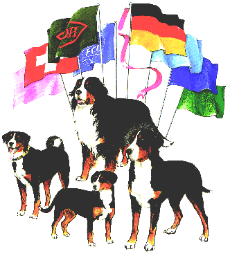 Schweizer Sennenhund Verein e.V. für Deutschland
